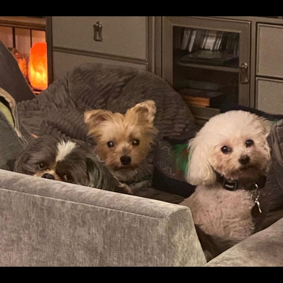 Hi! I’m Elisa - most call me E.  Just the letter E - Picture 8 of 13